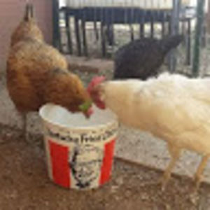 Meet your Posher, Daniel